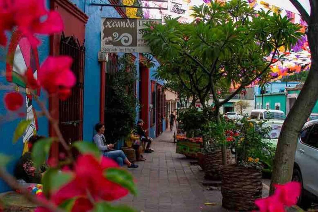 Calida Habitacion A 10 Min De Santo Domingo Oaxaca ภายนอก รูปภาพ